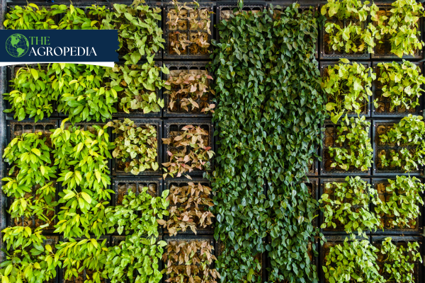 Green Living Wall