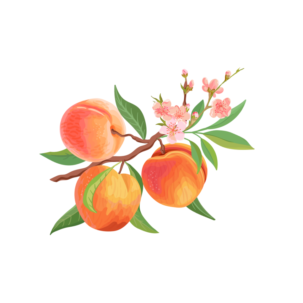 Peach