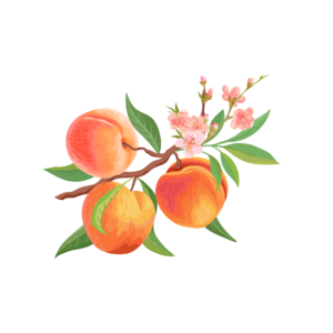 Peach