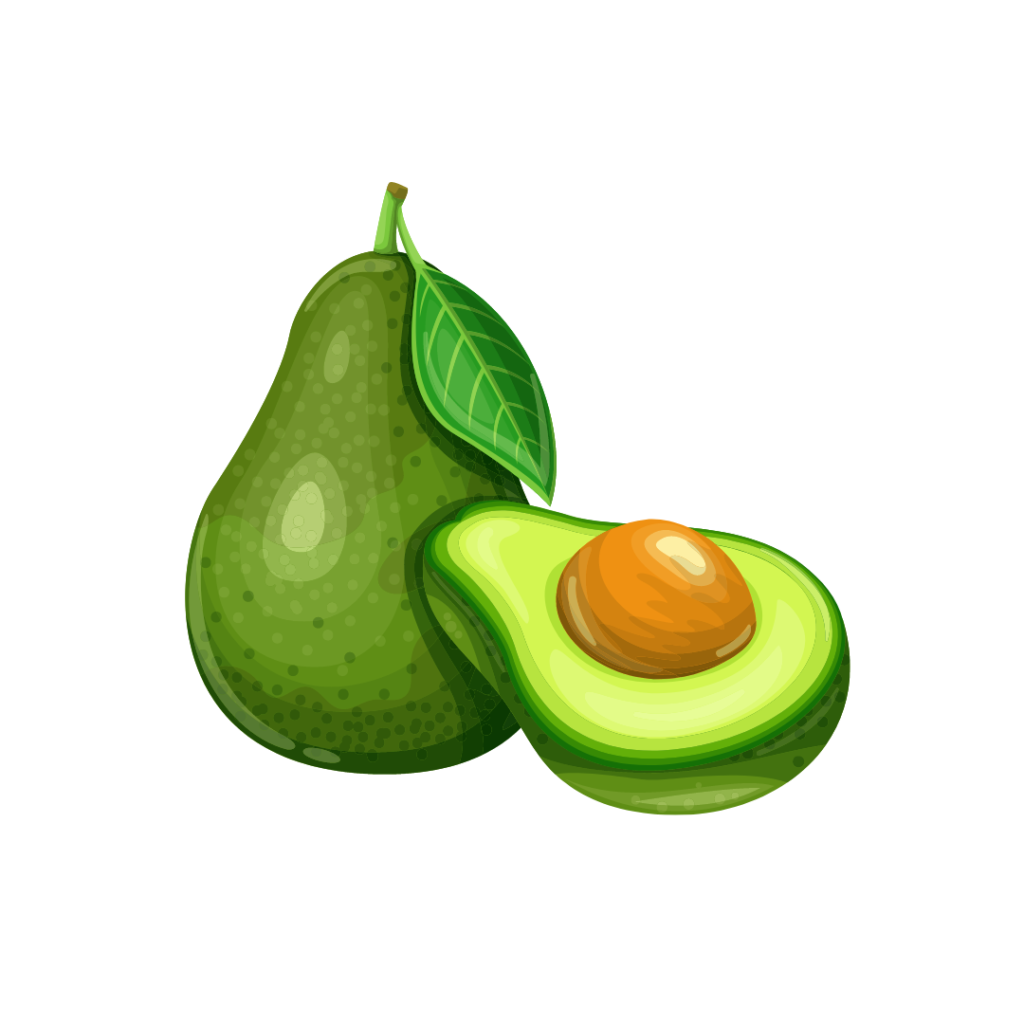 Avocado