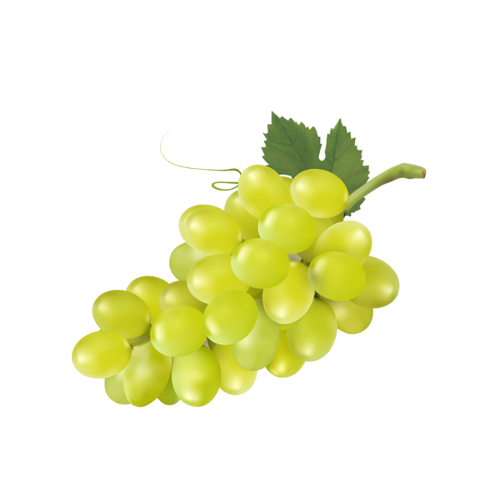 Grapes