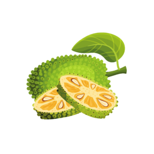 jackfruit