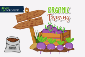 Organic Farming