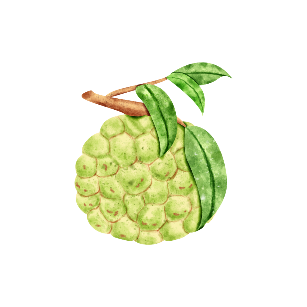 Custard Apple